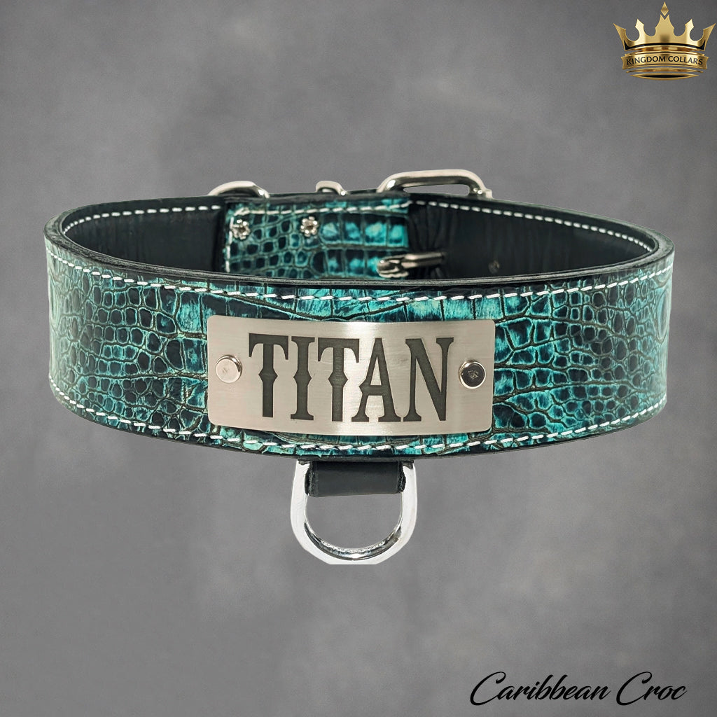 N15 - 2" Wide Personalized Leather Dog Collar