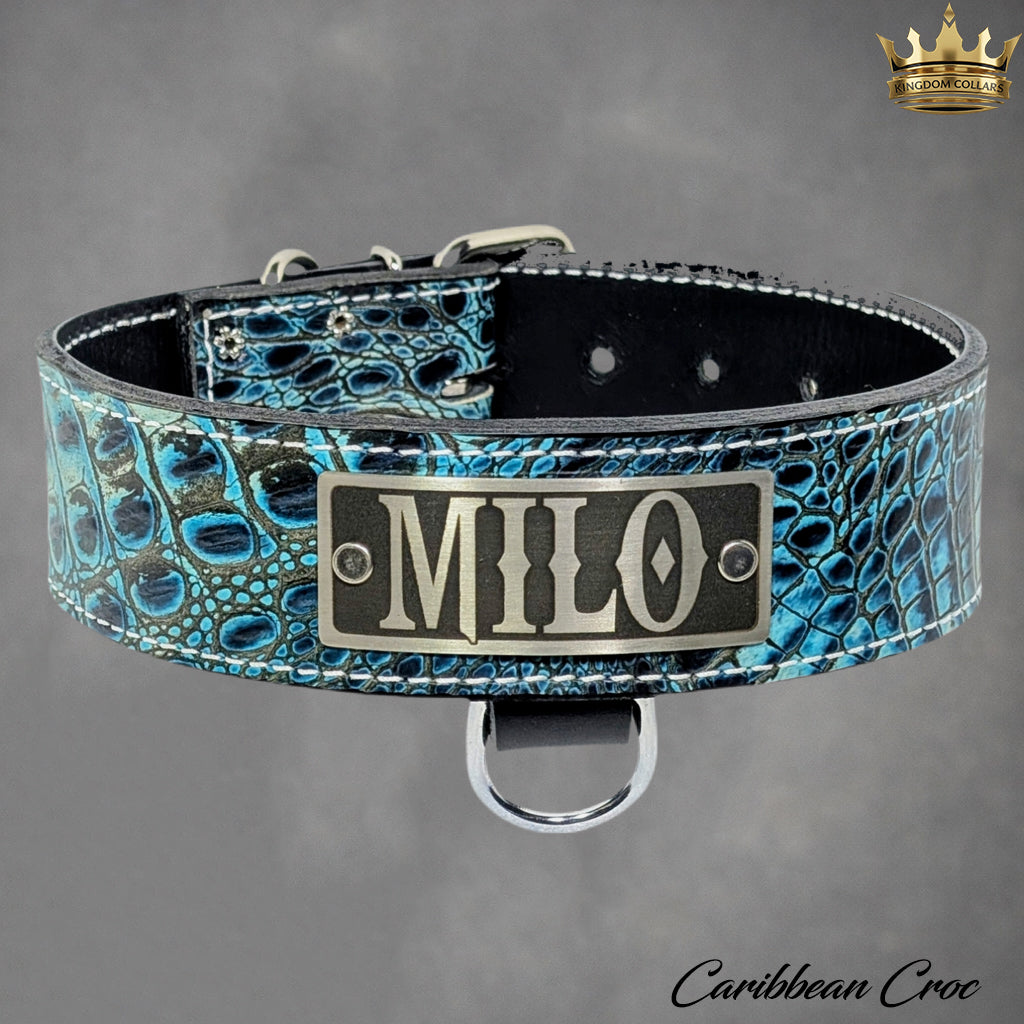 N15 - 2" Wide Personalized Leather Dog Collar