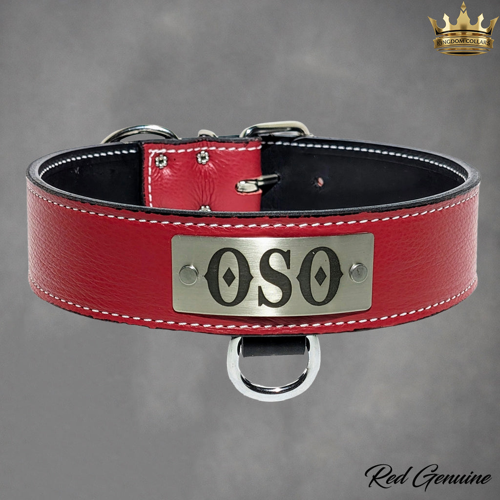 N15 - 2" Wide Personalized Leather Dog Collar