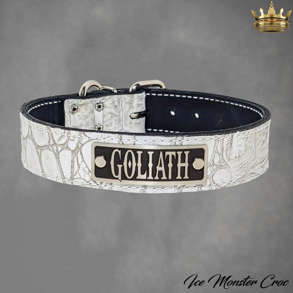 1.5-inch wide ice Italian leather dog collar with engraved nameplate by Kingdom Collars