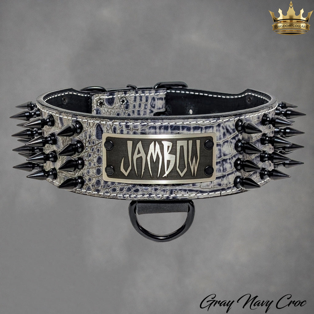 NJ10 - Collar para perro de cuero con pinchos de 2,5" de ancho y placa con nombre