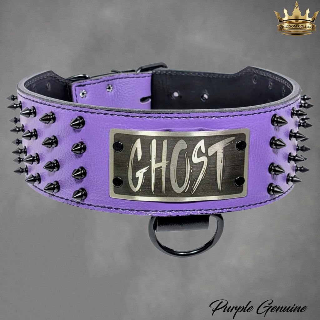 NX6 - Coleira personalizada de couro pontiagudo de 3"