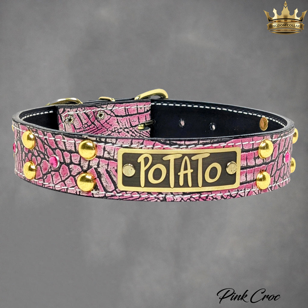 V20 - Coleira personalizada de 1 1/2" com tachas e pedras preciosas