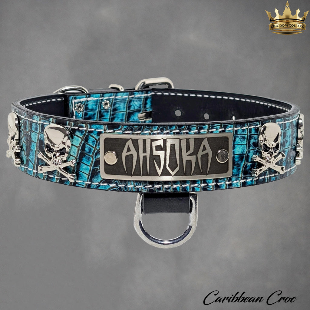 VN47 - 1 1/2" placa de nome coleira de couro para cachorro com caveiras