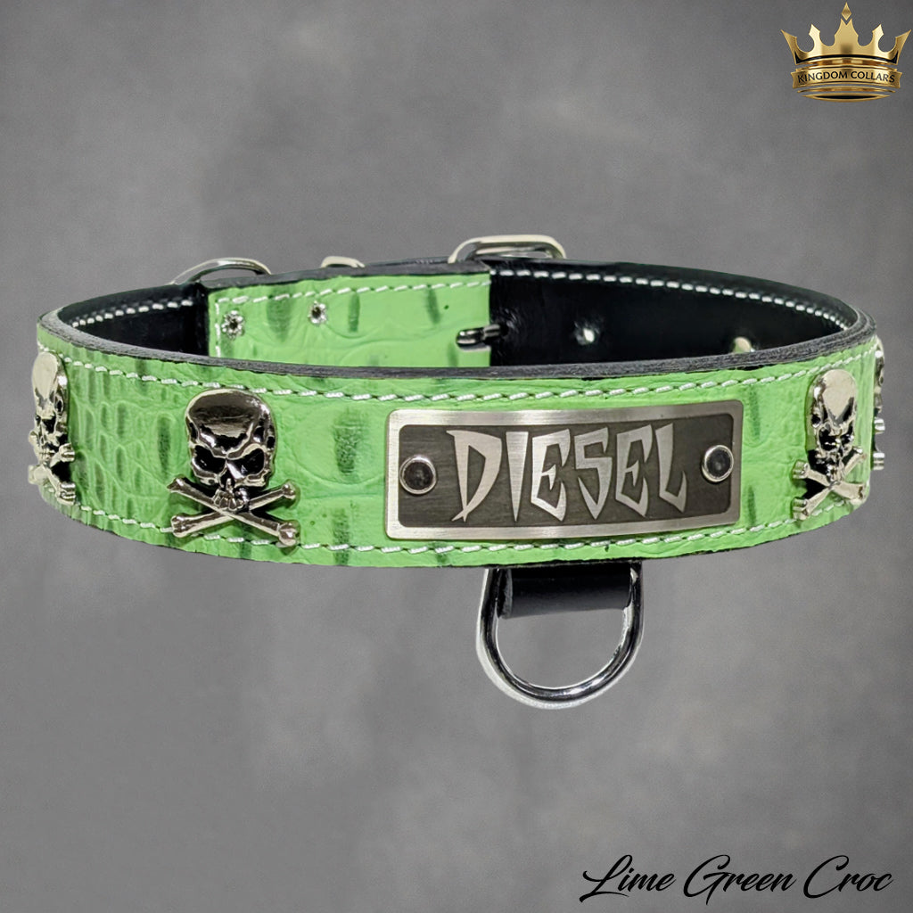 VN47 - 1 1/2" placa de nome coleira de couro para cachorro com caveiras