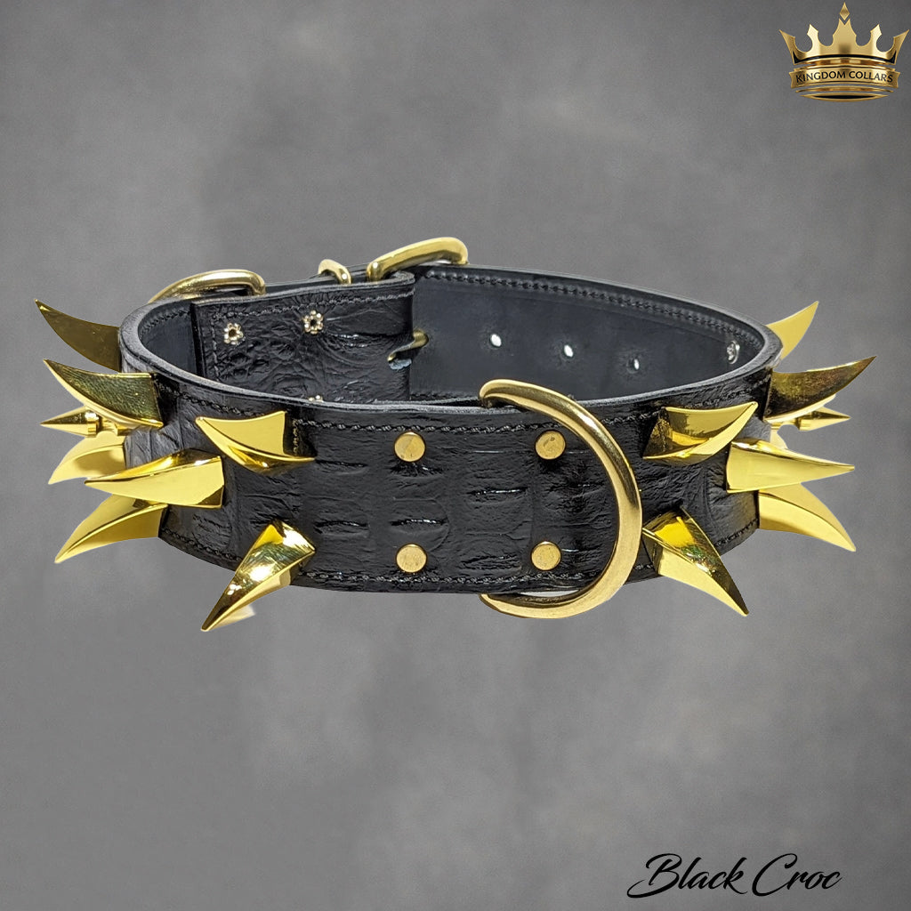 W2 - Collar de cuero con pinchos para perros de 2" de ancho