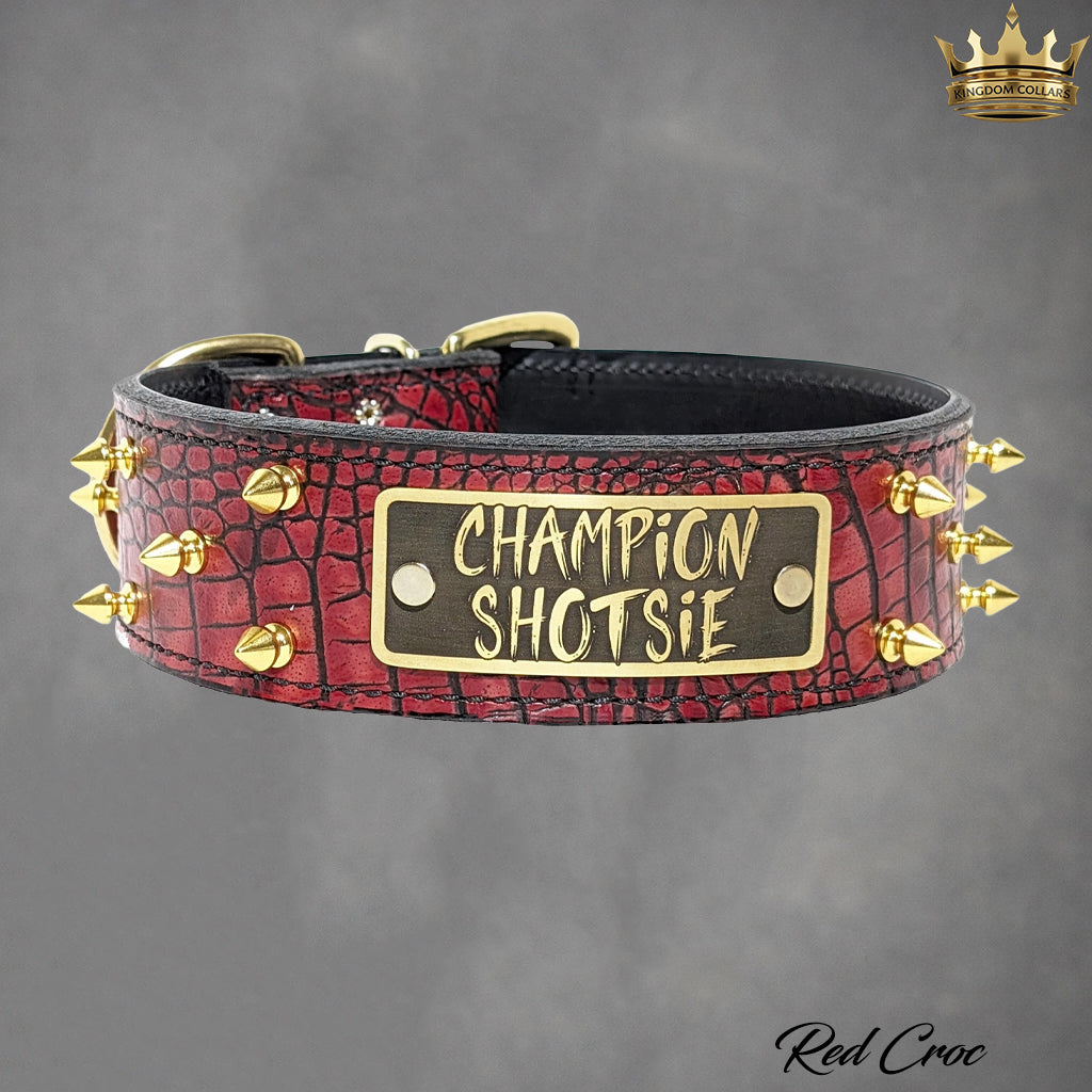 W46 - 2" Spiked Leather Dog Collar with Personalized Name Plate