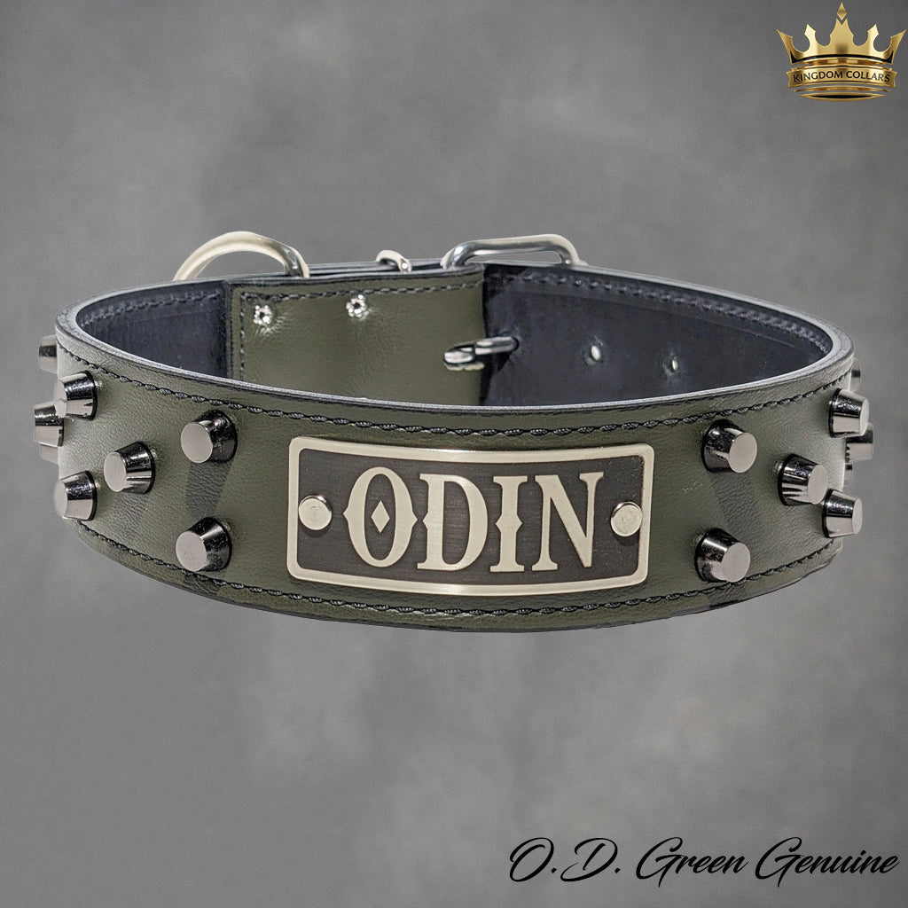 WN4 - Coleira personalizada de couro com tachinhas de 2"