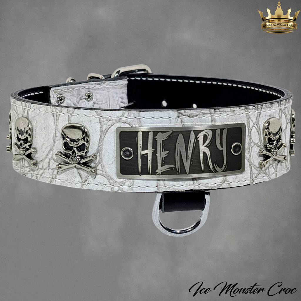 Dog collar with skull design and 'HENRY' nameplate on a gray background