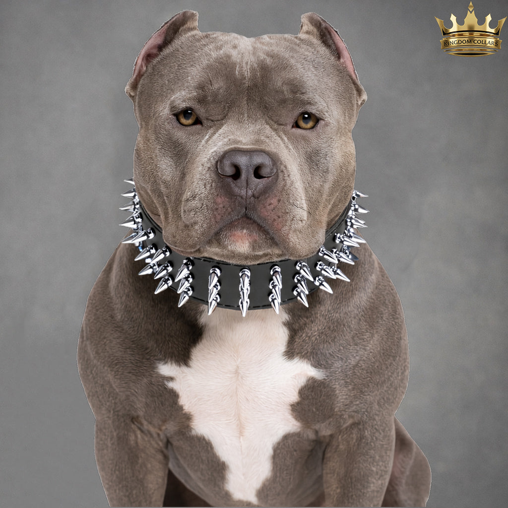 X43 - 3" Wide Spiked Leather Dog Collar