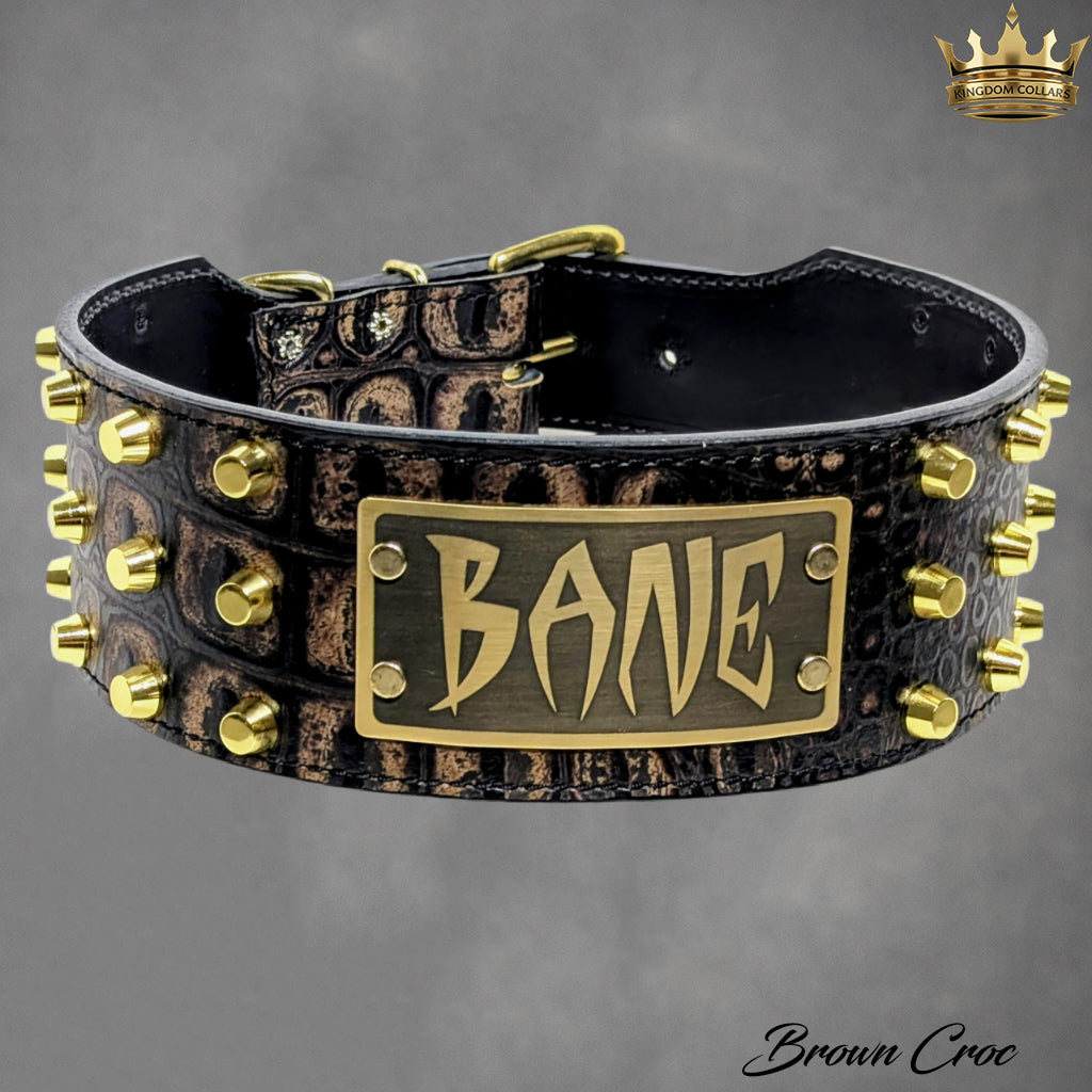 2.5"–3" Wide Italian Leather Studded Dog Collar | Bucket Studs | Engraved Name Plate