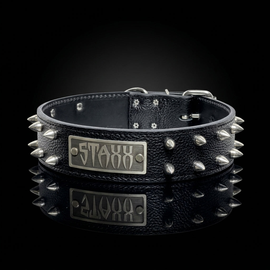 A black textured leather collar with silver metal spikes and a central rectangular plate featuring the stylized word 'STAXX'. The collar is displayed on a reflective black surface against a dark background.
