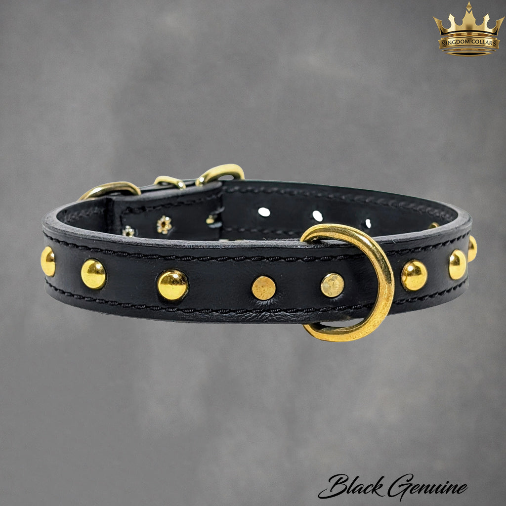 1" Wide Personalized Italian Leather Studded Dog Collar | Engraved Name Plate