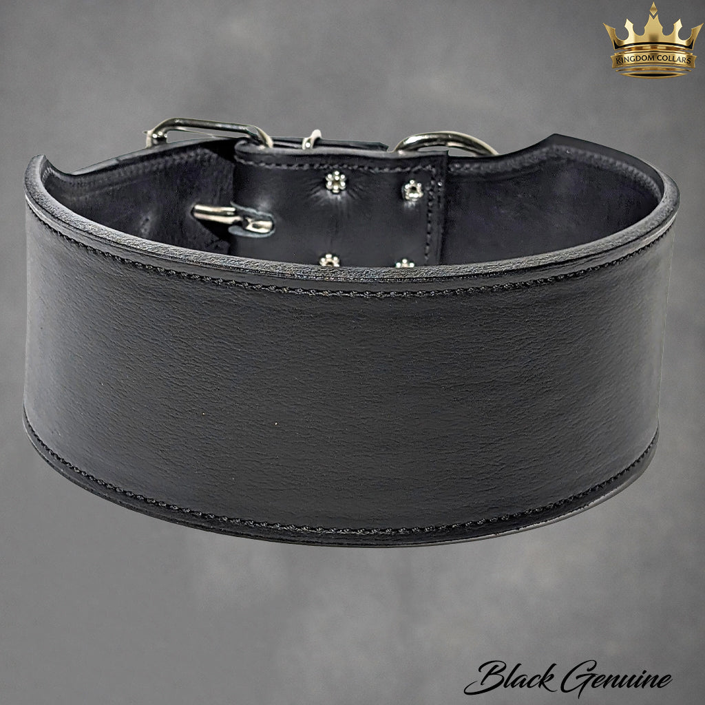 X1 - 3" Wide Leather Dog Collar