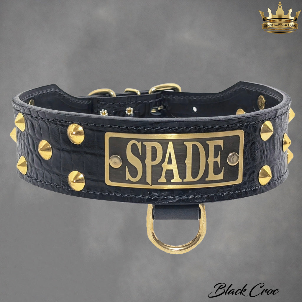 N5 - 2" Wide Tapered Personalized Leather Dog Collar with Studs