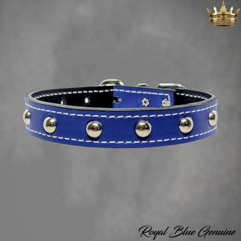 1" Wide Personalized Italian Leather Studded Dog Collar | Engraved Name Plate