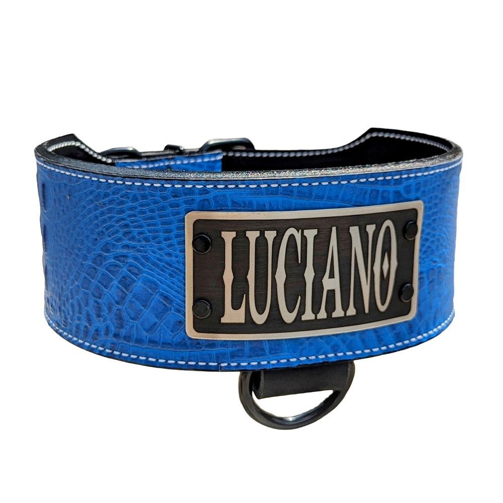 NX5 - 3" Wide Leather Dog Collar with Engraved Name Plate