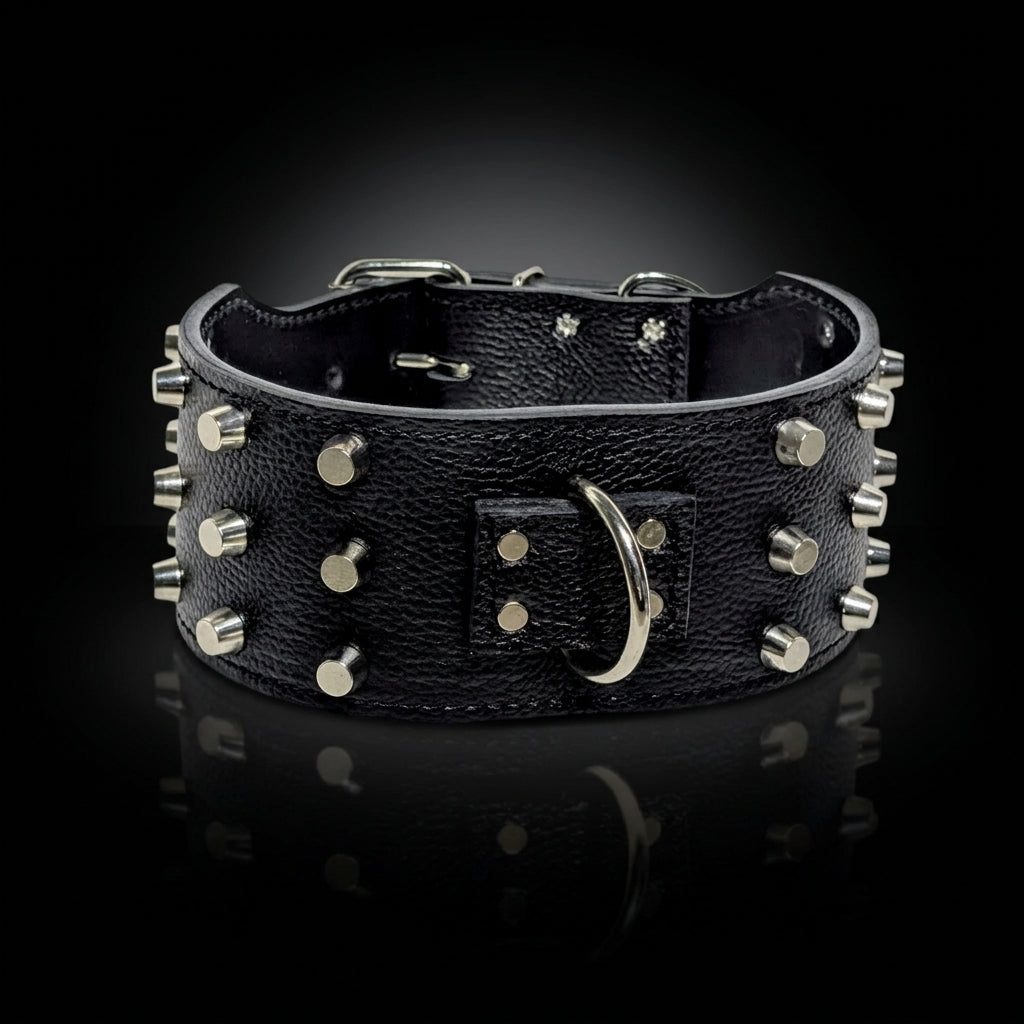 2.5" - 3" Wide Studded Leather Dog Collar