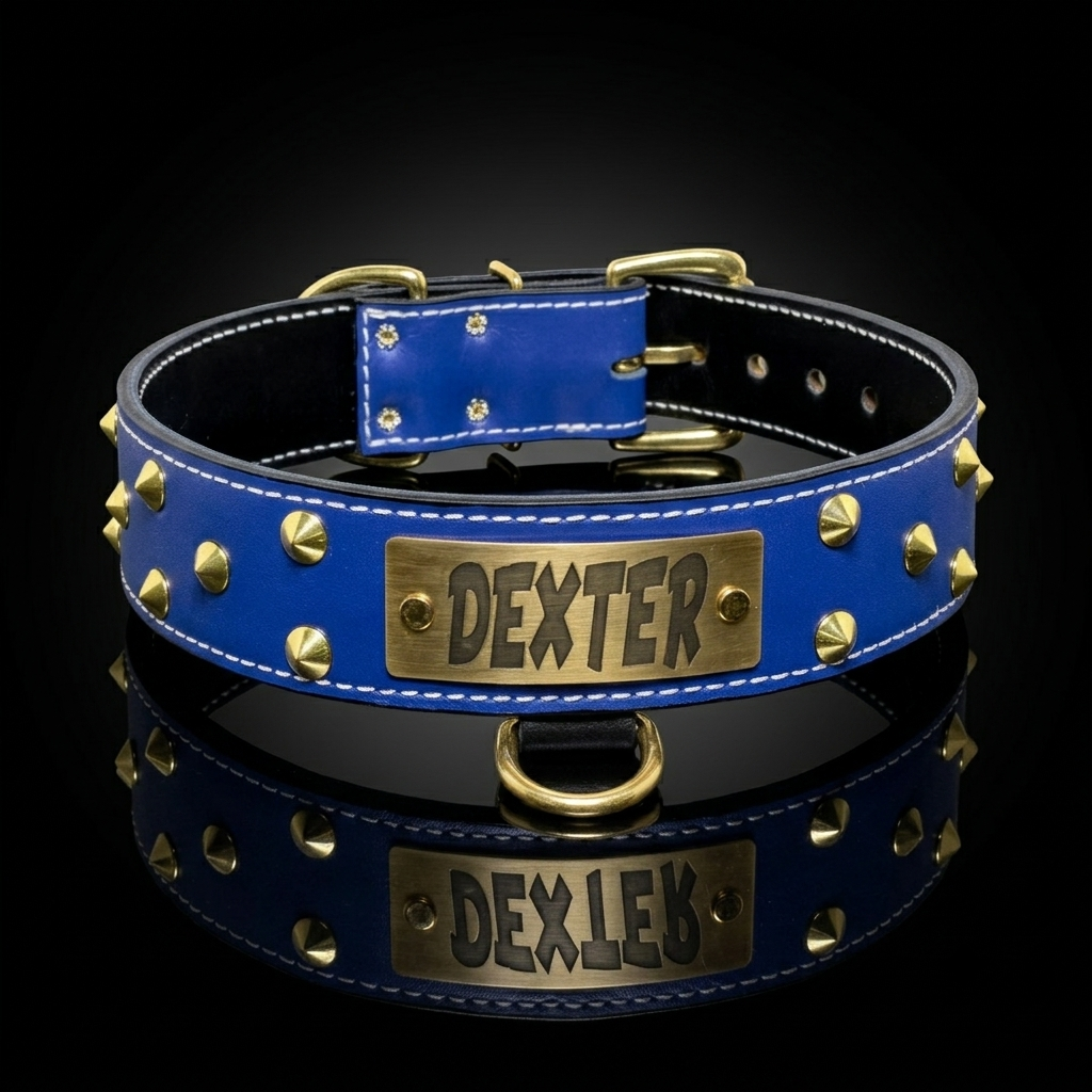 A royal blue leather dog collar with gold-tone studs, white stitching, and a brass plate engraved with 'DEXTER'.