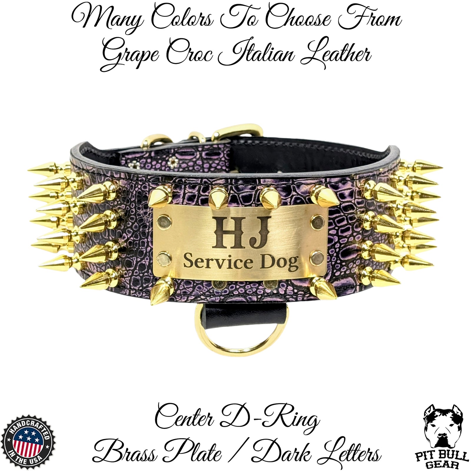J9 - 2.5" Personalized Spiked Leather Dog Collar