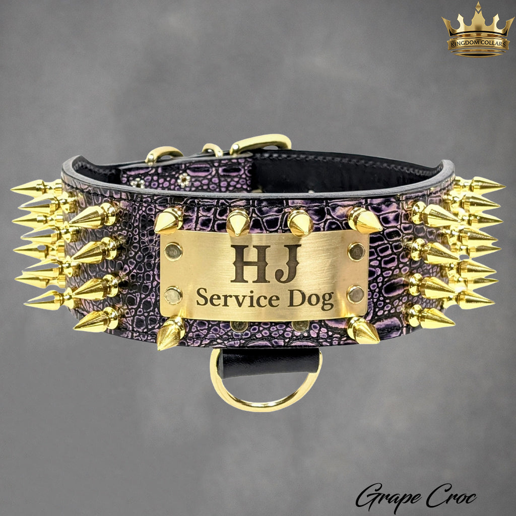 NX8 - 3" Wide Personalized Spiked Leather Dog Collar