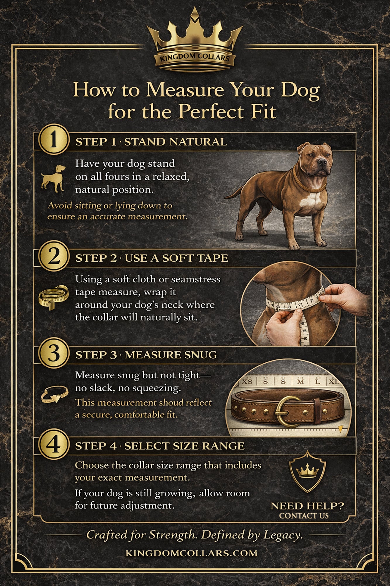 Instructional poster on how to measure a dog for a collar, featuring text and illustrations.