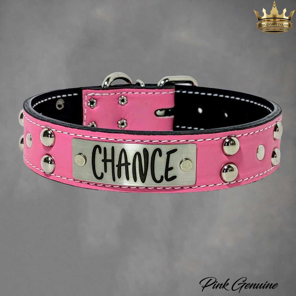 N10 - 1.5" Wide Leather Dog Collar Personalized Name Plate Studded