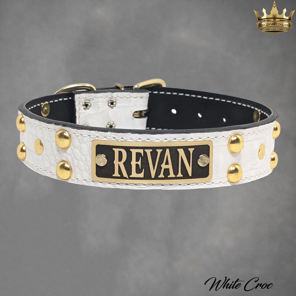 N10 - 1.5" Wide Leather Dog Collar Personalized Name Plate Studded