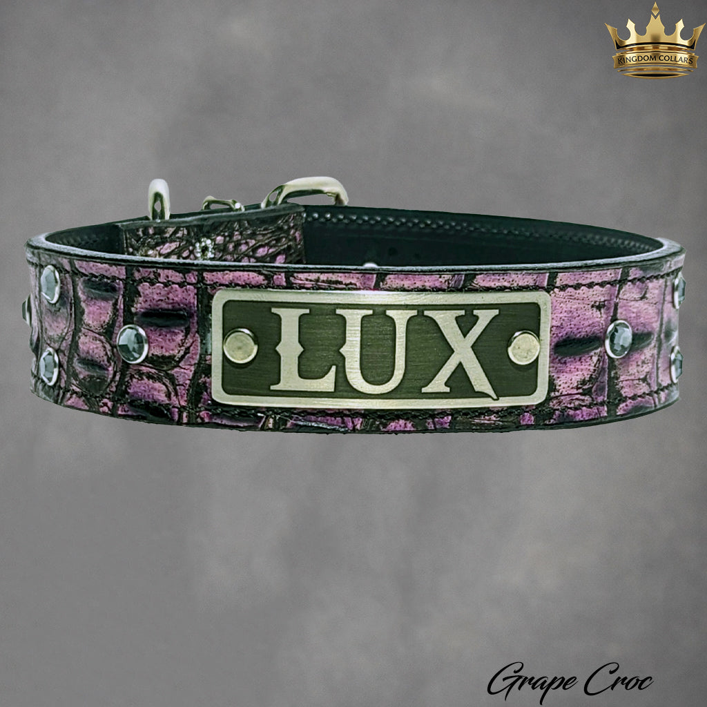 N11 - 1 1/2" placa de identificação coleira de cachorro de couro com pedras preciosas