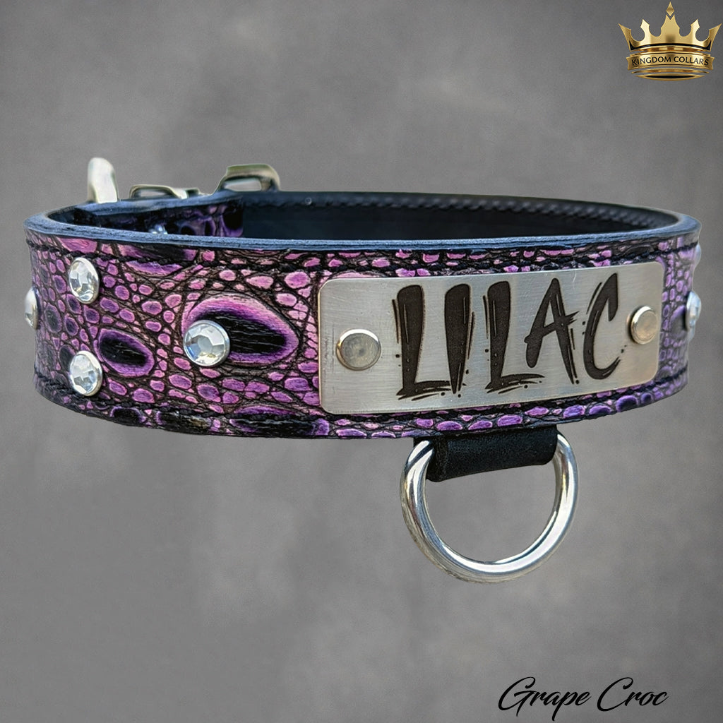 N11 - 1 1/2" placa de identificação coleira de cachorro de couro com pedras preciosas