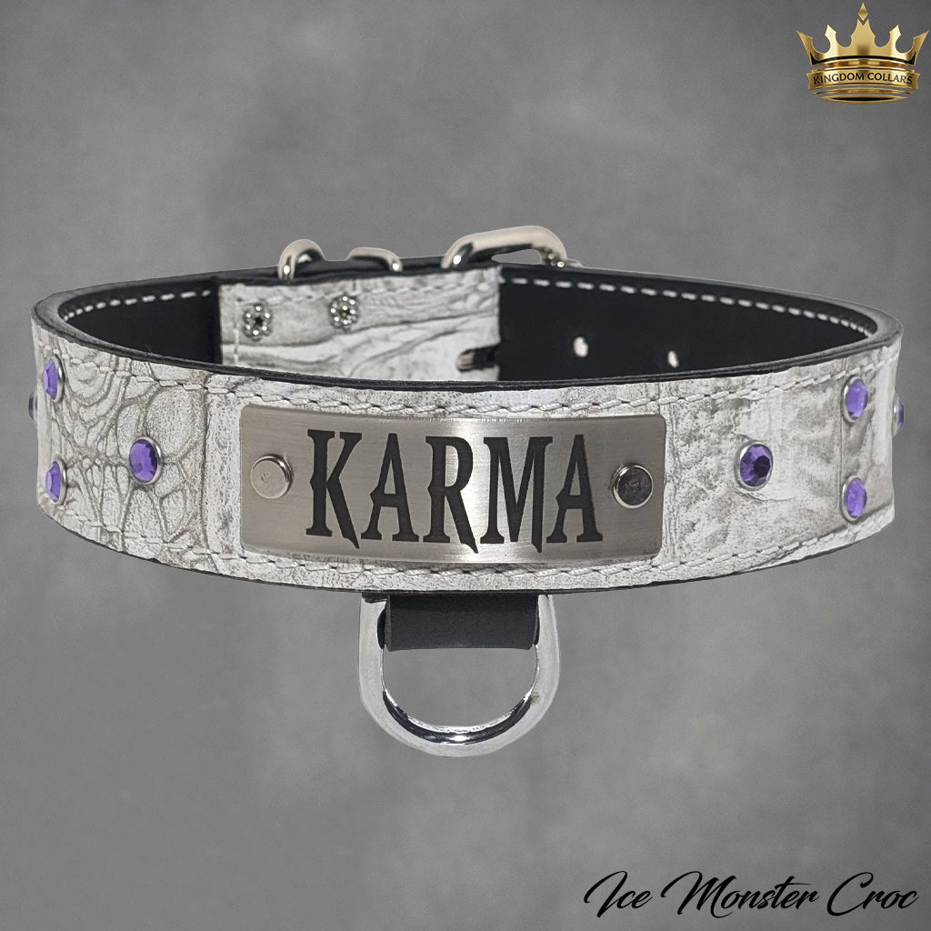 N11 - 1 1/2" placa de identificação coleira de cachorro de couro com pedras preciosas