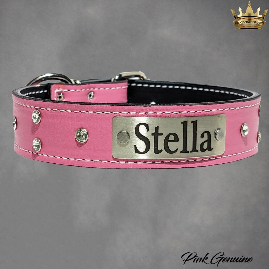 Pink leather dog collar with 'Stella' nameplate on a gray background