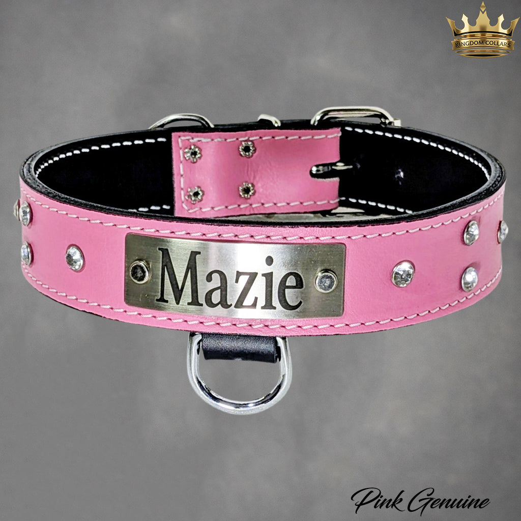 N11 - 1 1/2" placa de identificação coleira de cachorro de couro com pedras preciosas