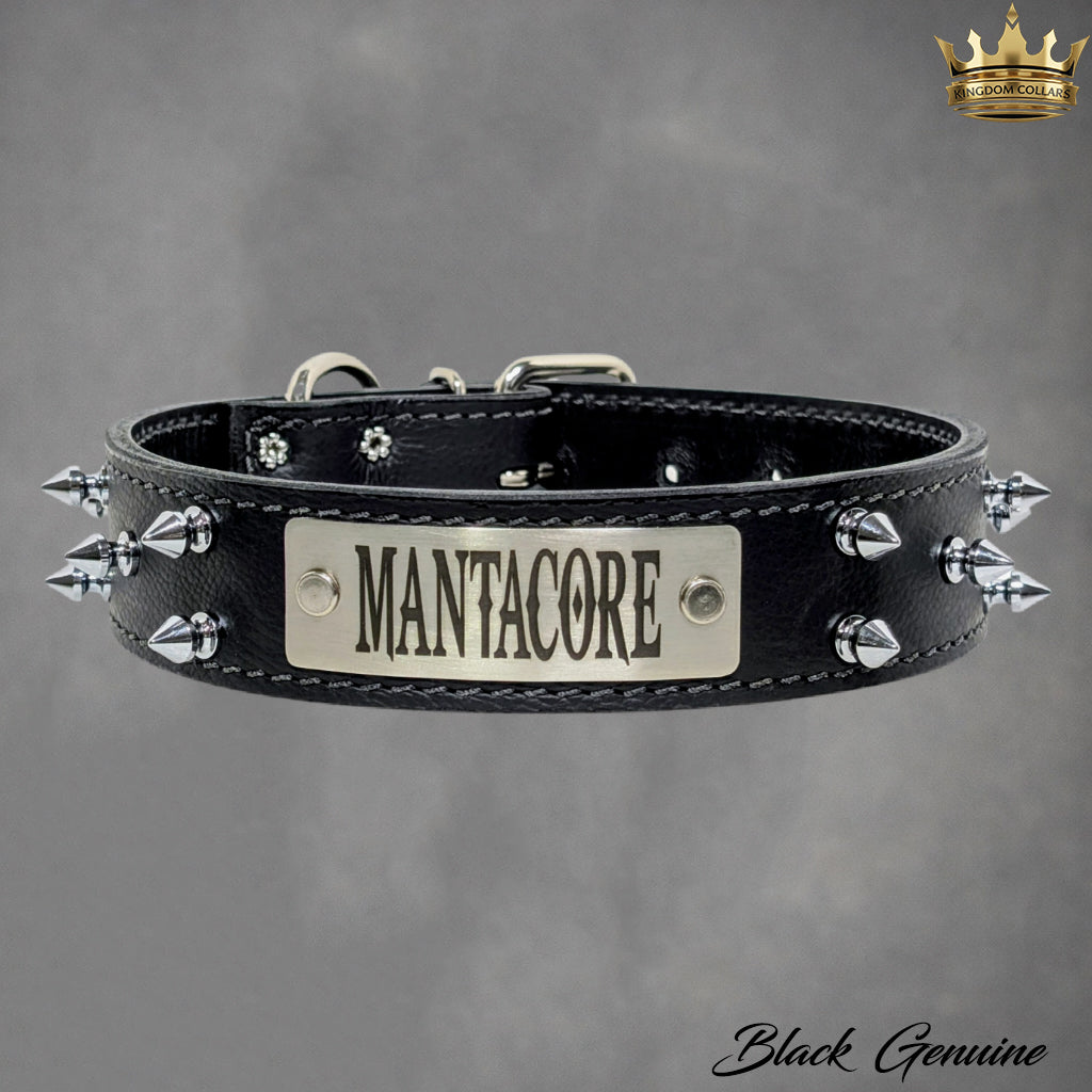 1.5" Wide Personalized Spiked Italian Leather Dog Collar | Custom Name Plate