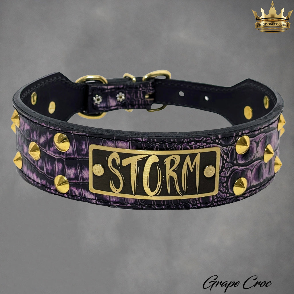 N5 - 2" Wide Tapered Personalized Leather Dog Collar with Studs