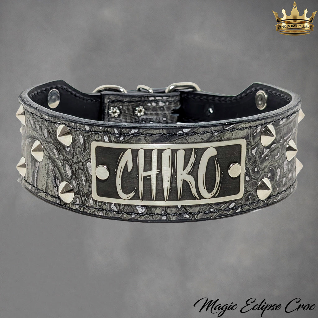 N5 - 2" Wide Tapered Personalized Leather Dog Collar with Studs