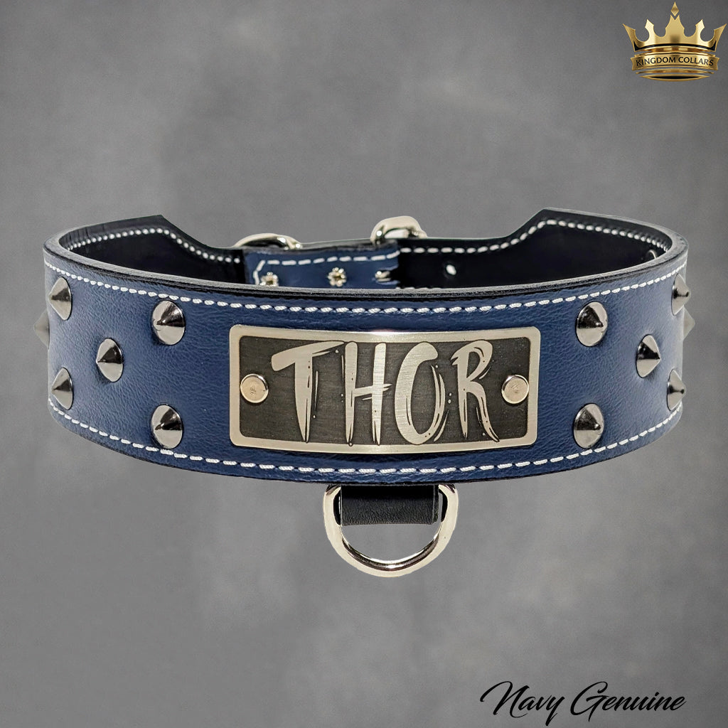 N5 - 2" Wide Tapered Personalized Leather Dog Collar with Studs