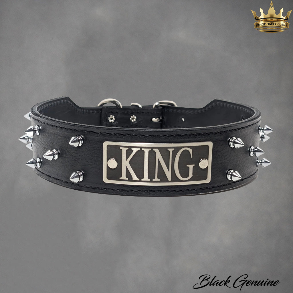 N6 - Collar de cuero cónico personalizado para perros de 2" de ancho con púas