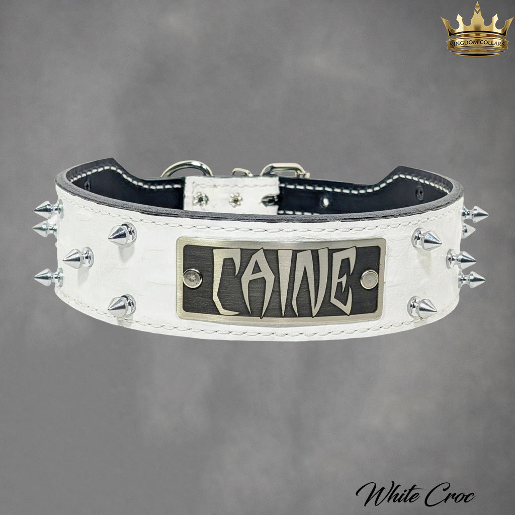 N6 - Collar de cuero cónico personalizado para perros de 2" de ancho con púas