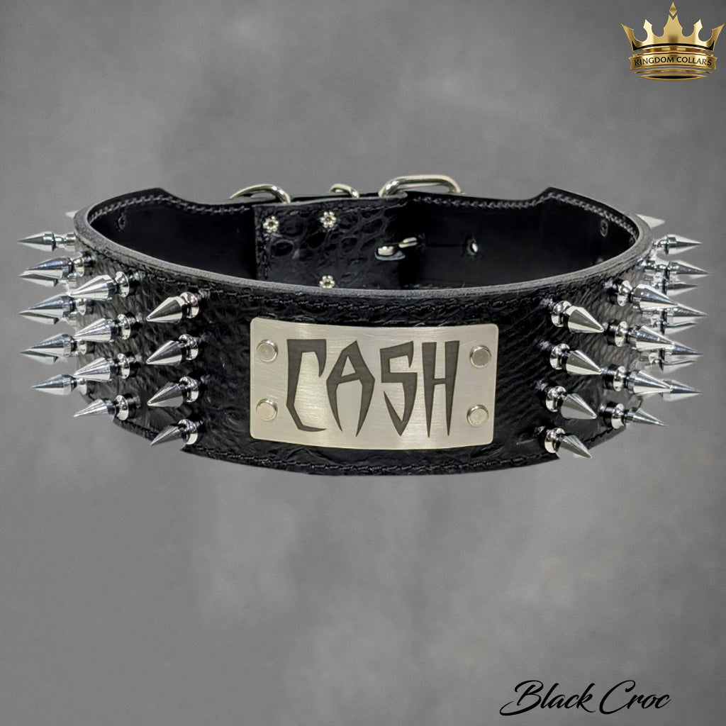Black leather dog collar with spikes and 'CASH' plaque on a gray background