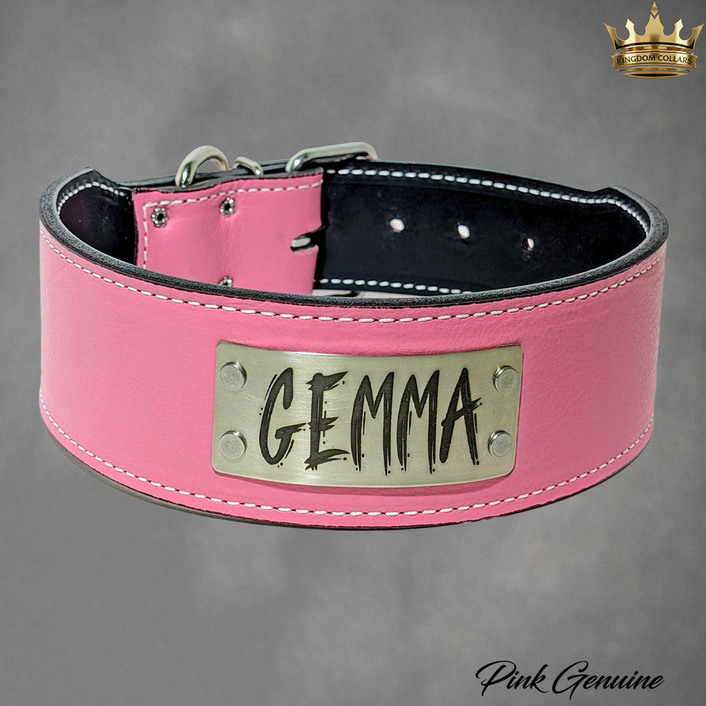 NJ11 - 2.5" Wide Leather Dog Collar Personalized Name Plate