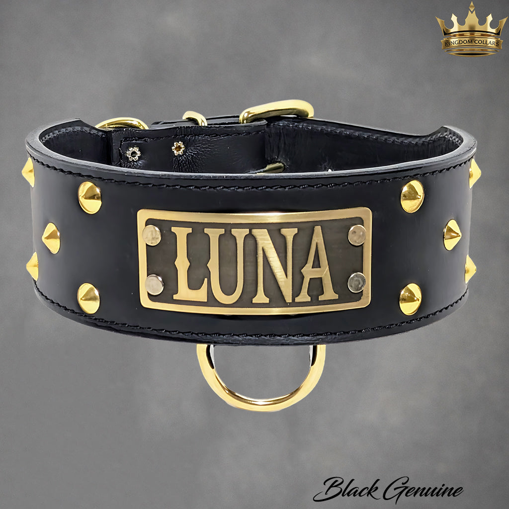 NX33 - 2.5"–3" Wide Personalized Italian Leather Studded Dog Collar | Cone Studs