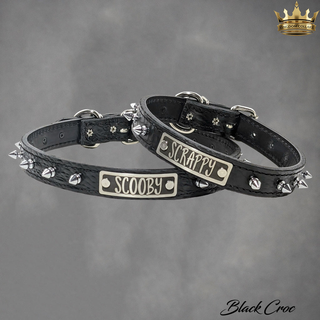 Black leather dog collar with spikes and nameplates on a gray background