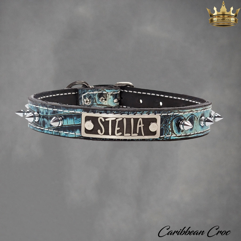NU19 - 1" Colar Pontudo de Couro Personalizado
