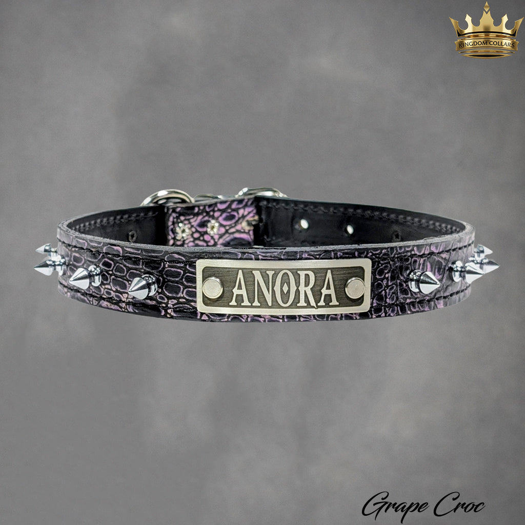 NU19 - 1" Colar Pontudo de Couro Personalizado