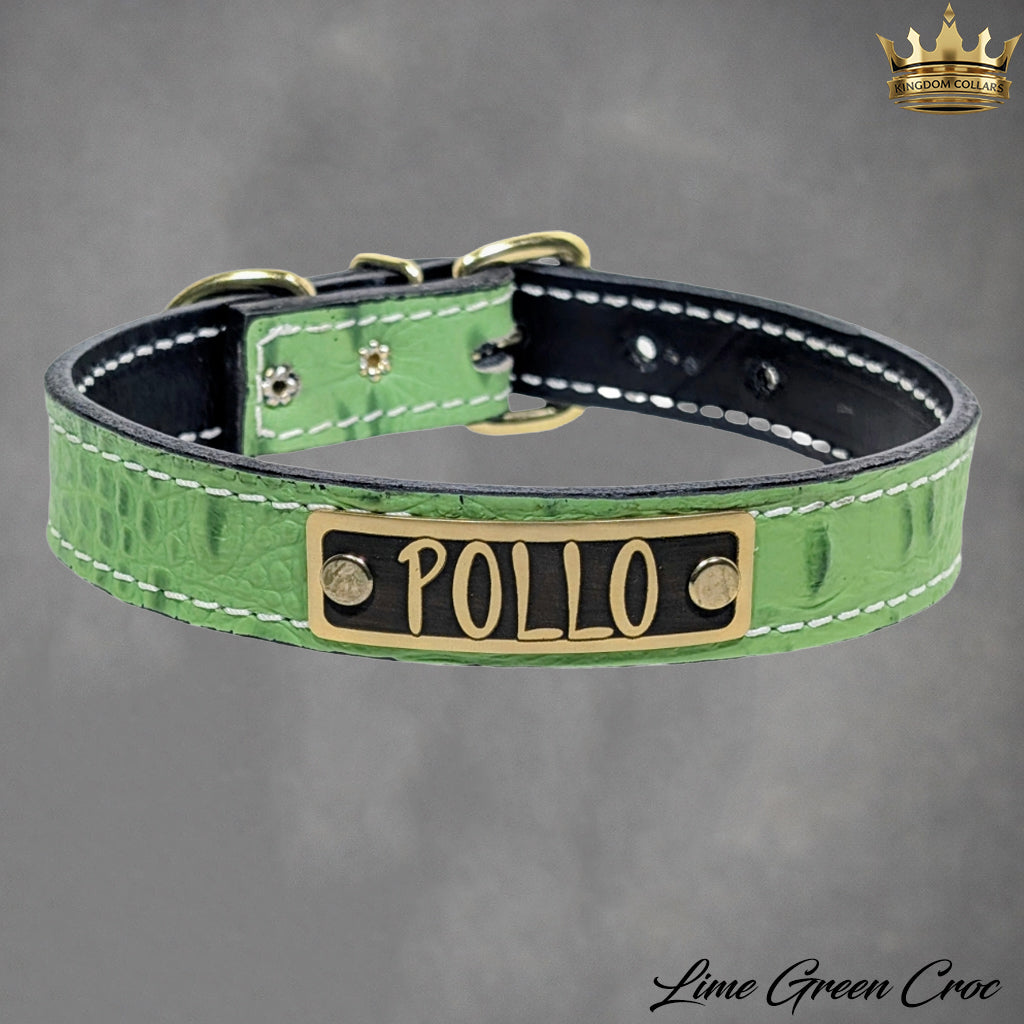 Collar de cuero para perro con placa de identificación personalizada Collar de 1" hecho a medida - NU1