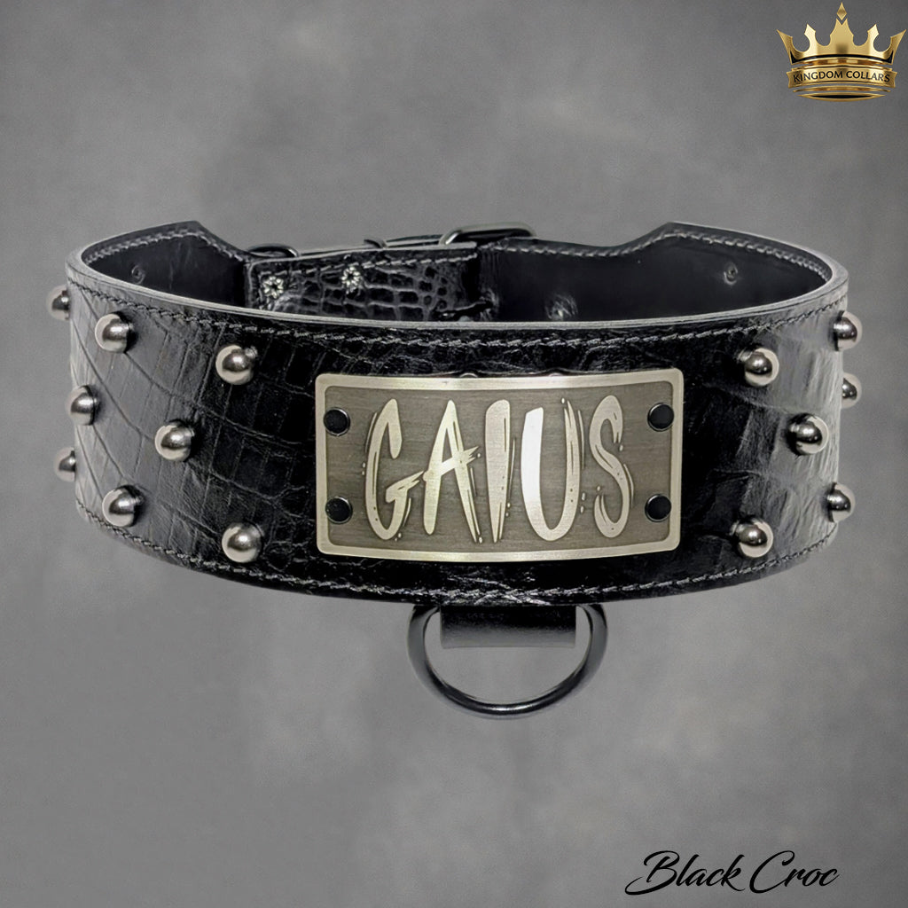 NX3 - 2.5"–3" Wide Personalized Italian Leather Studded Dog Collar | Dome Studs