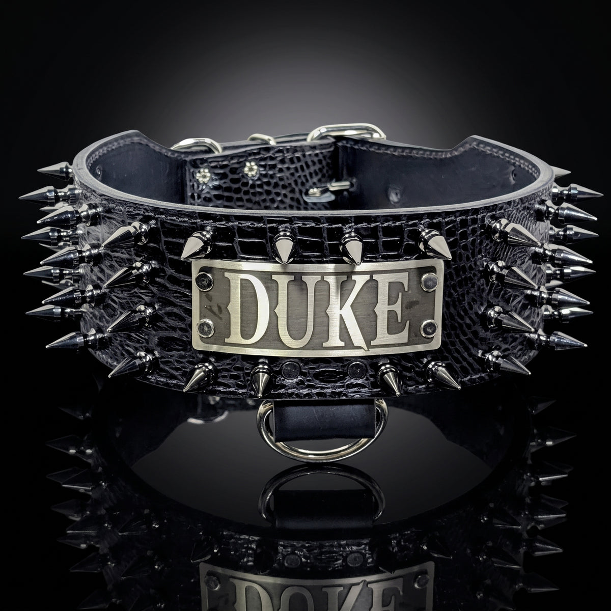 A black crocodile-embossed leather dog collar with silver spikes and a central silver metal plate engraved with the word 'DUKE'.