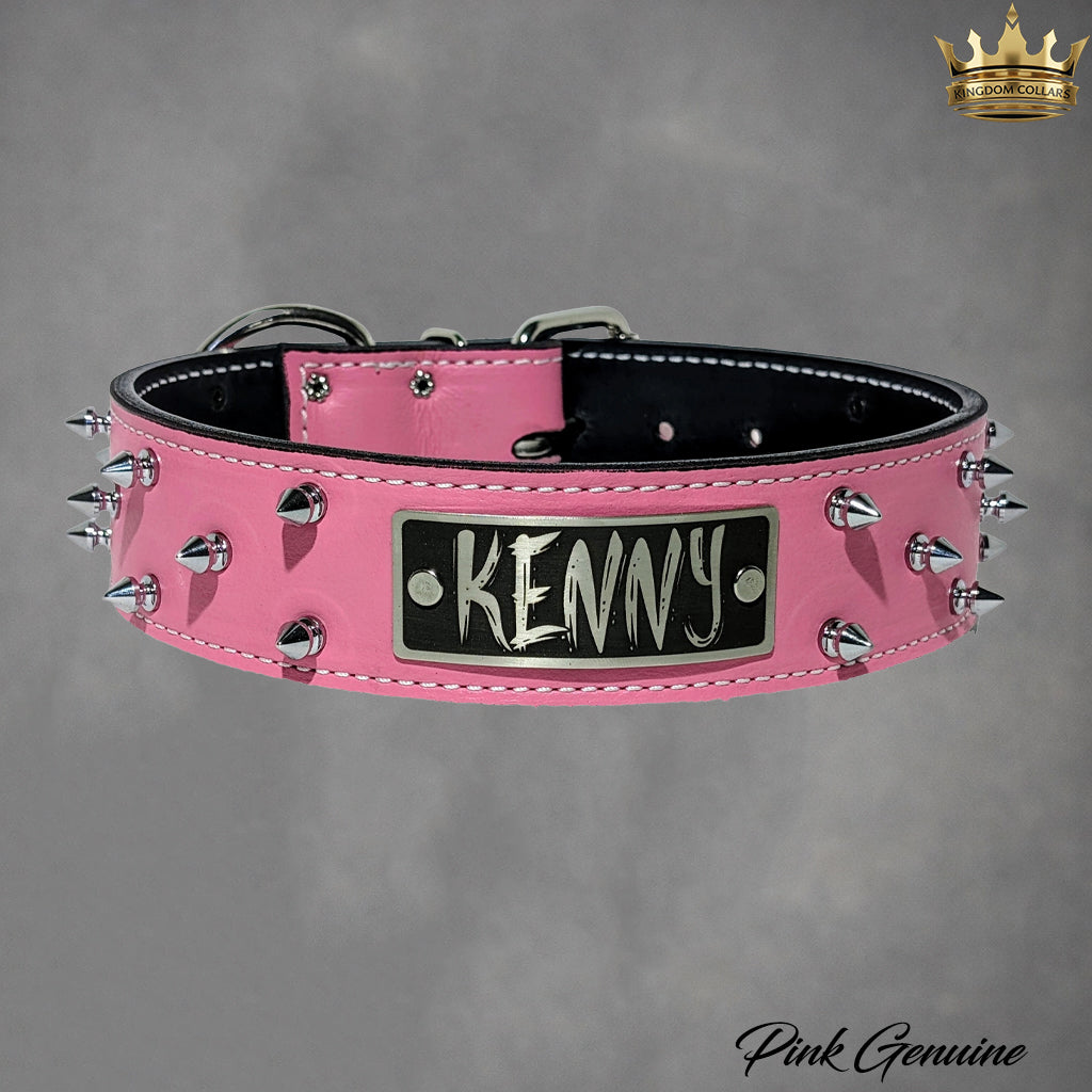 W46 - 2" Spiked Leather Dog Collar with Personalized Name Plate