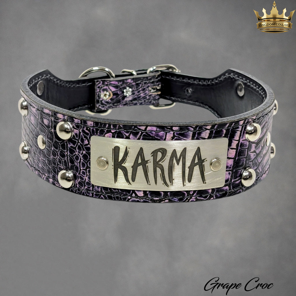 TW12 - Coleira cônica com placa de identificação de 2" com tachas